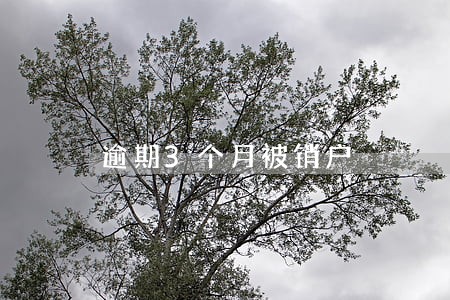 逾期3个月被销户 逾期3个月被销户