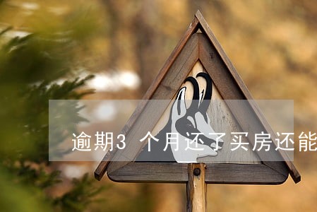 逾期3个月还了买房还能贷款吗 逾期3个月还了买房还能贷款吗