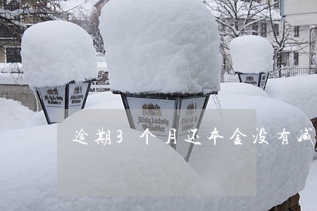 逾期3个月还本金没有减少 逾期3个月还本金没有减少