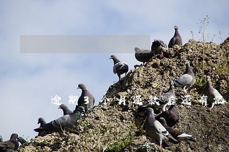 逾期3个月还款后还有记录 逾期3个月还款后还有记录
