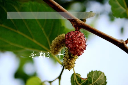 逾期3千 逾期3千
