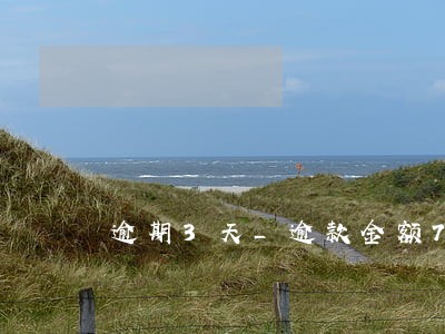 逾期3天_逾款金额77 逾期3天_逾款金额77