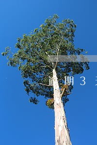 逾期3天一直打电话 逾期3天一直打电话