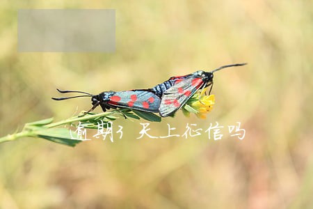 逾期3天上征信吗 逾期3天上征信吗