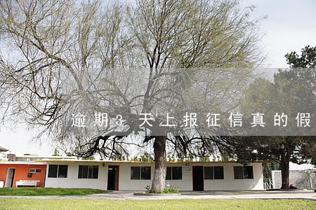 逾期3天上报征信真的假的 逾期3天上报征信真的假的
