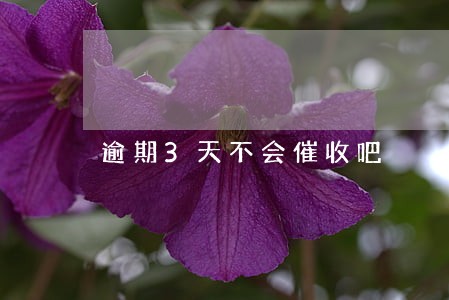 逾期3天不会催收吧 逾期3天不会催收吧