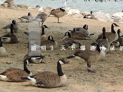 逾期3天不爆通讯录的口子 逾期3天不爆通讯录的口子