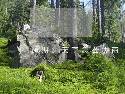 逾期3天了怎么协商 逾期3天了怎么协商