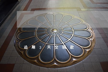 逾期3天交税款 逾期3天交税款