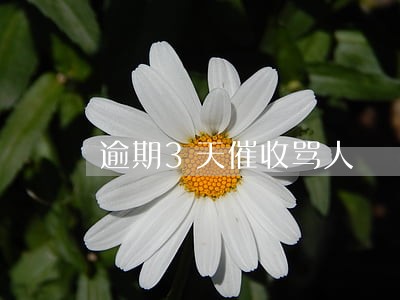 逾期3天催收骂人 逾期3天催收骂人