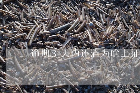 逾期3天内还清为啥上征信
