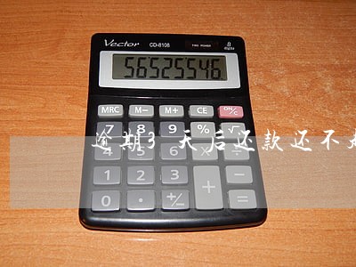 逾期3天后还款还不起还有后果