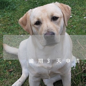 逾期3天申请了分期还款吗 逾期3天申请了分期还款吗
