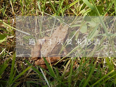 逾期3天要求结清 逾期3天要求结清