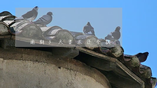 逾期3天要求还全款 逾期3天要求还全款