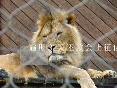逾期3天还款会上征信吗