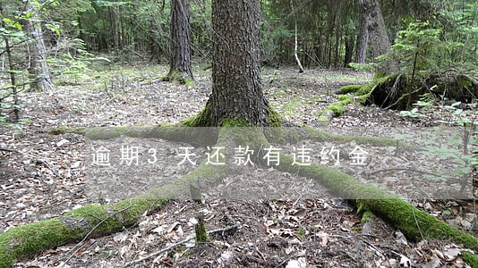 逾期3天还款有违约金 逾期3天还款有违约金