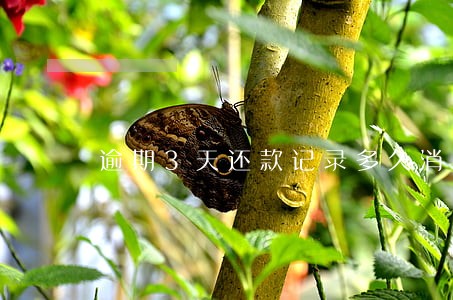 逾期3天还款记录多久消除 逾期3天还款记录多久消除
