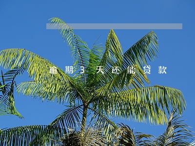 逾期3天还能贷款 逾期3天还能贷款