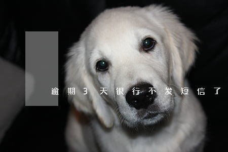 逾期3天银行不发短信了 逾期3天银行不发短信了