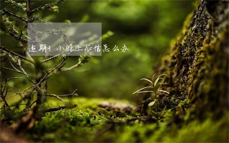 逾期3小时上征信怎么办 逾期3小时上征信怎么办