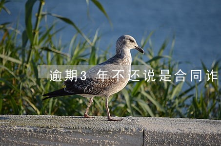 逾期3年不还说是合同诈骗 逾期3年不还说是合同诈骗