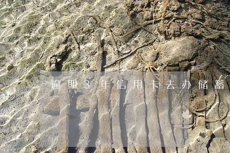 逾期3年信用卡去办储蓄卡 逾期3年信用卡去办储蓄卡