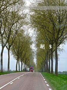 逾期3年利息是本金的4倍合法吗 逾期3年利息是本金的4倍合法吗