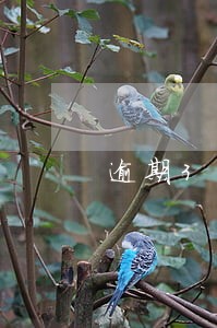 逾期3年利率不涨了 逾期3年利率不涨了