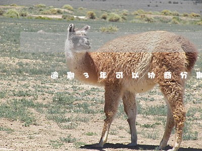 逾期3年可以协商分期么 逾期3年可以协商分期么
