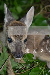 逾期3年多了催收再次找上我