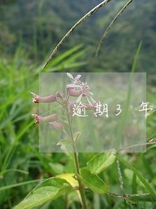 逾期3年怎么协商 逾期3年怎么协商