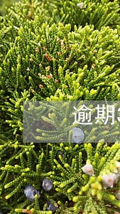逾期3年未检车如何计算 逾期3年未检车如何计算