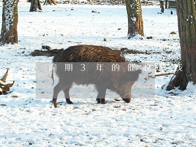逾期3年的催收底线 逾期3年的催收底线
