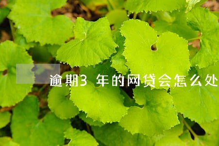 逾期3年的网贷会怎么处理 逾期3年的网贷会怎么处理