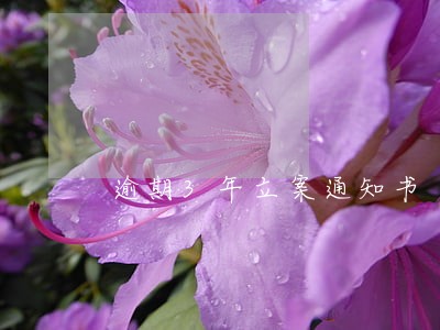 逾期3年立案通知书 逾期3年立案通知书