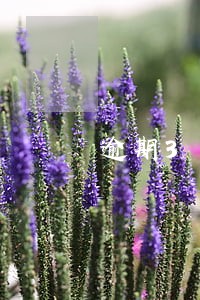 逾期3年还清 逾期3年还清