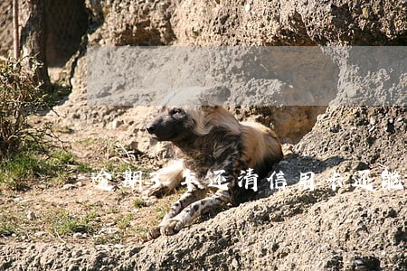 逾期3年还清信用卡还能用么 逾期3年还清信用卡还能用么