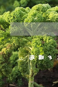 逾期3年还能借款吗