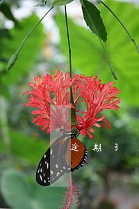 逾期3月了还能提额度吗 逾期3月了还能提额度吗