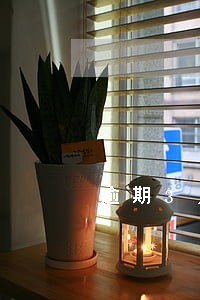 逾期3月会不会进黑名单 逾期3月会不会进黑名单