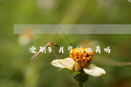 逾期3月可以协商吗 逾期3月可以协商吗