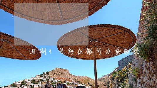 逾期3月能在银行办贷款吗 逾期3月能在银行办贷款吗