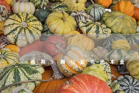 逾期3期以后先还本金