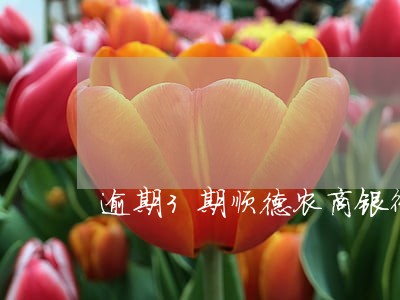 逾期3期顺德农商银行装修贷 逾期3期顺德农商银行装修贷