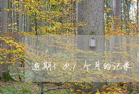 逾期3次1个月的记录 逾期3次1个月的记录