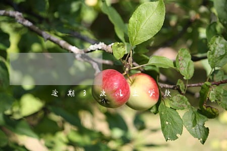 逾期3次以上贷款 逾期3次以上贷款