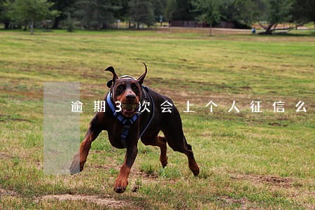 逾期3次会上个人征信么 逾期3次会上个人征信么