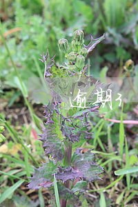 逾期3次会不会影响 逾期3次会不会影响