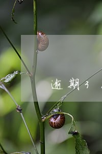 逾期3次可以买房贷款吗 逾期3次可以买房贷款吗